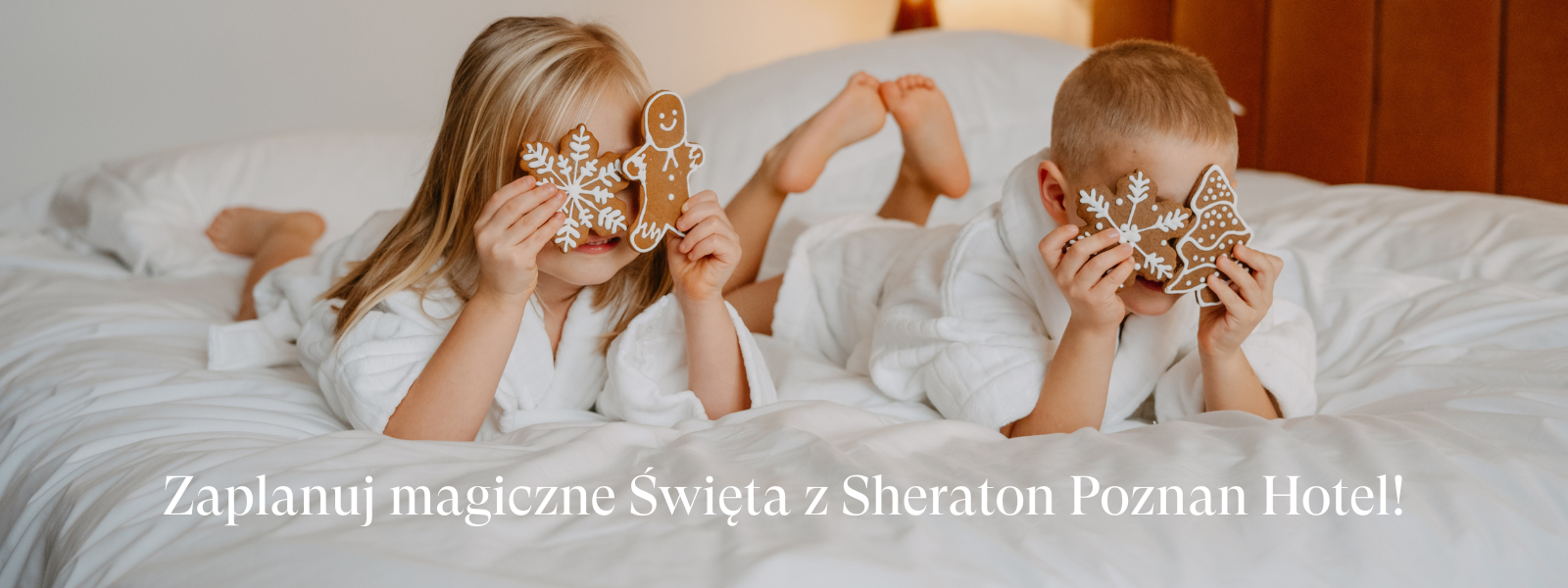 Sheraton Poznan Hotel